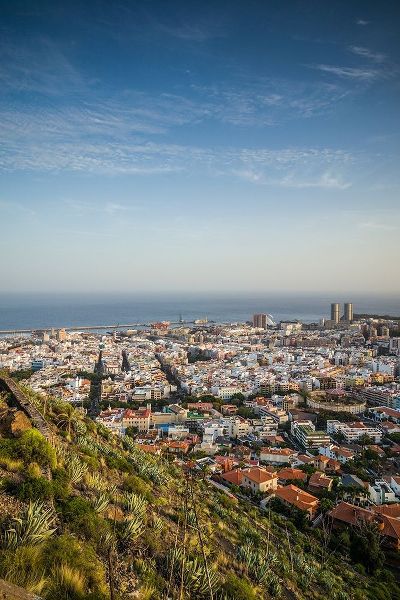 Canary Islands-Tenerife Island-Santa Cruz de Tenerife-elevated view of city and port-late afternoon